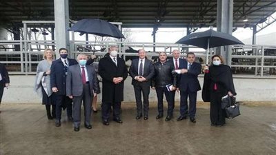 جولة تفقدية لـ القصير بمزرعة للإنتاج الحيواني وشركة تقاوي الخضر بالمجر