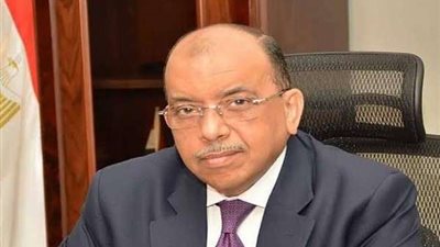 شعراوي: صندوق التنمية المحلية يمول 1129 مشروعاً صغيراً بـ 13 مليون جنيه