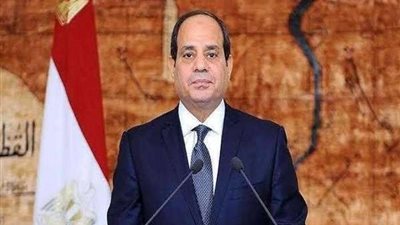 أول تعليق لعامل دليفري بعد لقاء الرئيس السيسي.. «كأنني ملكت كنوز الدنيا كلها»