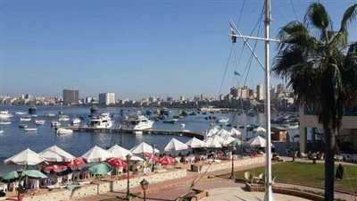 الأرصاد تكشف حقيقة تعرض الإسكندرية لـ