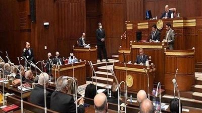 الشيوخ يستكمل مناقشة قانون الأمس الخاص بـ حقوق المسنين