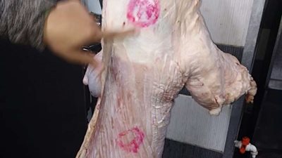 تحرير 133 محضرًا وتحصين 516 راس ماشية بقرى المنيا