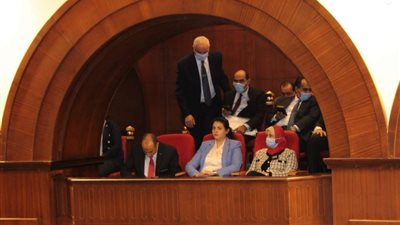 رئيس لجنة العلاقات الخارجية بمجلس الشيوخ يطالب 