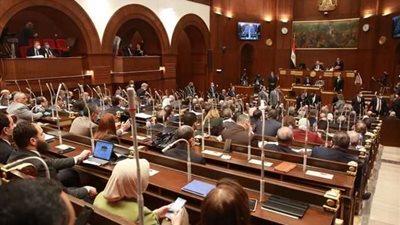 برئاسة مسلم.. ثقافة النواب تناقش أسباب توقف المتحف الأتوني بالمنيا