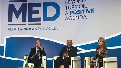 وزير الخارجية يستعرض رؤية مصر للأوضاع في الشرق الأوسط (صور)