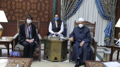 الإمام الأكبر: الحلول المقدمة من الغرب لمشكلاتنا تشوه ثقافتنا وتخلق صراعا جديد