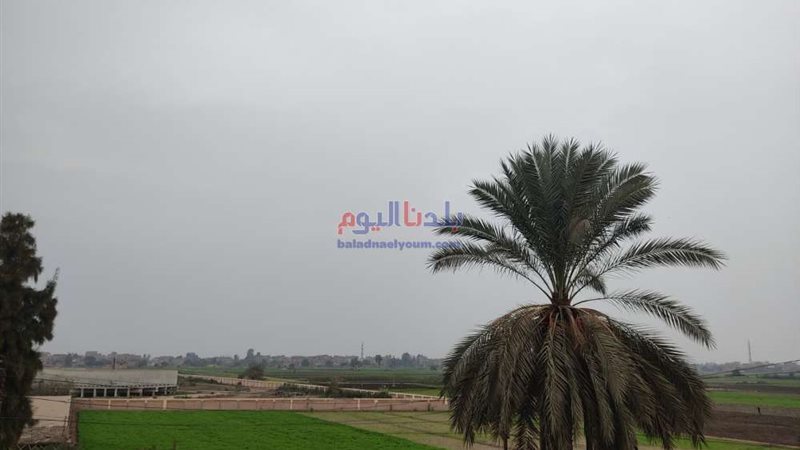 بلدنا اليوم