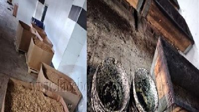 ضبط مصنع به أكثر من 4 طن عسل نحل مغشوش بالمرج