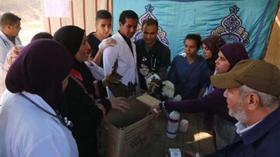 جامعة أسيوط تطلق قافلة بيطرية موسعة ومجانية إلى قرى مركز ساحل سليم