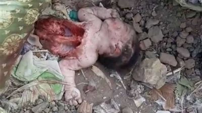 نهشته الكلاب.. كشف لغز العثور على جثة رضيع في ميت غمر