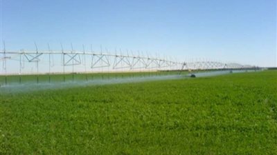 التفاصيل الكاملة للأراضي المنزرعة بمشروع الـ1.5 مليون فدان