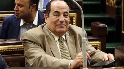 مستشار الاتصال السياسي  بوزارة التضامن