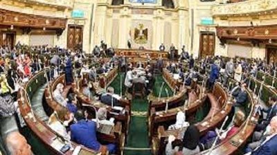 مجلس النواب يوافق على إعادة تأسيس الجامعة الفرنسية بـ مصر