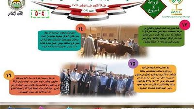 زايد: إصدار