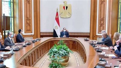 السيسي يستقبل رايموند كارلسن الرئيس التنفيذي لشركة 