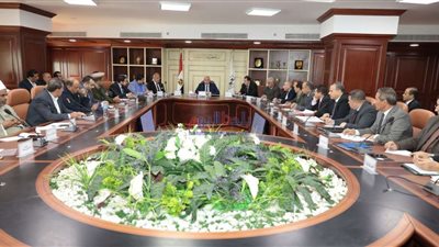 تنفيذي بني سويف يوافق على إطلاق اسمي شهيدين على مدرستين