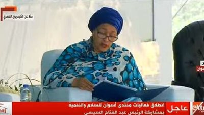 نائب الأمين العام للأمم المتحدة: إفريقيا تحتل نصف الدول النامية في العالم