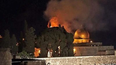 تسجيل إصابات إثر تسرب مادة خطيرة في حديقة الحيوان بالقدس