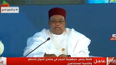 رئيس النيجير: لا يمكن تحقيق السلام في أفريقيا بدون أمن