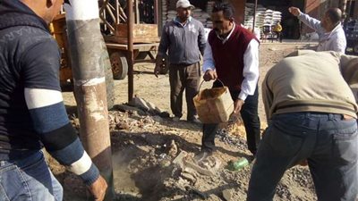 حملة لرفع القمامة وصيانة أعمدة الإنارة بطلخا