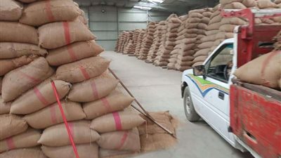 زراعة الشرقية: 820 جنيه سعر إردب القمح في هذا الموسم