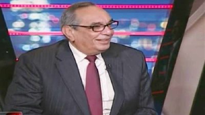 خاص| عضو لجنة الدفاع بالبرلمان: النهج المتبع في تركيا مخالف للقوانين الدولية