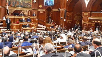 مجلس الشيوخ يزف بشرى سارة للمسنين