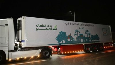 حياة كريمة توزع 7 آلاف كرتونة مواد غذائية وقافلة طبية بقنا وأسوان بصعيد مصر.. صور