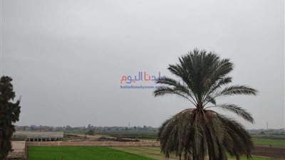 انخفاض فى درجات الحرارة اليوم وصقيع بوسط سيناء والصغرى بالقاهرة 11 درجة