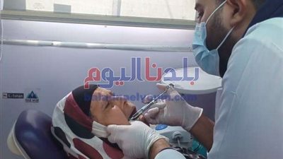 قافلة طبية و بيطرية بقرية توفيق الحكيم بحوش عيسي ضمن مبادرة