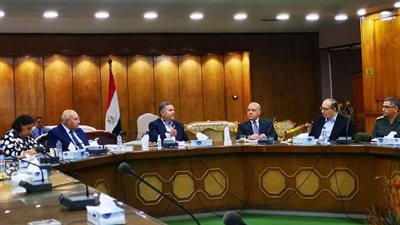 وزير قطاع الأعمال يكشف موعد إنتاج أول سيارة كهربائية في مصر