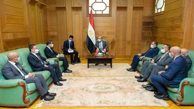 وزير الدولة للإنتاج الحربي يبحث مع «جيوشي» و«شاندونج» سبل التعاون المشترك