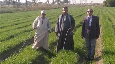 زراعة الشرقية تنفذ مدرسة حقلية إرشادية لمحصول الطماطم لمزارعي الصالحية الجديدة