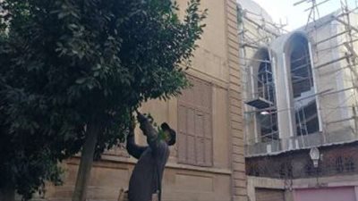 حملة لقص الأشجار لتجهيزات احتفالية لعيد ميلاد المجيد بالغربية