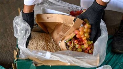 ضبط 28 عاطلا بحوزتهم مواد مخدرة في القليوبية