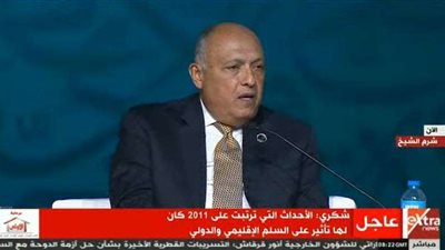 شكري: بعض الكيانات استغلت أوضاع الدول العربية للاستفادة من نفوذ الإرهاب