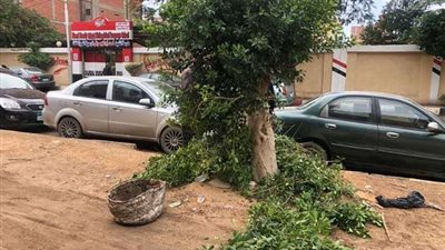 حملة نظافة وتجميل بشوارع مدينة طلخا