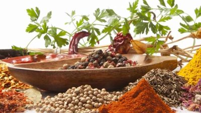 حوار.. خبيرة تغذية تكشف عن أبرز علاجات الغدة الدرقية 