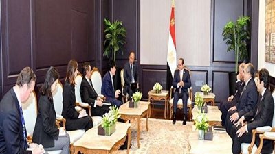 السيسي يبحث مع مدير 