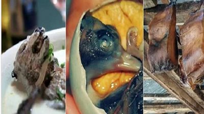 أبرزها أدمغة القرود.. أغرب 9 وجبات يتناولها البشر حول العالم