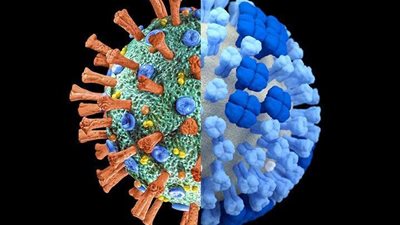 إصابة رئيس دولة عربية بفيروس كورونا| تفاصيل
