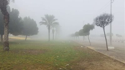 بعد الغلق حرصا على سلامة المواطنين.. المرور تعيد فتح طريق 