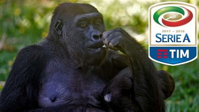 بسبب العنصرية.. 