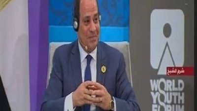 السيسي: ما حدث من تدخل في العراق أدى إلى إسقاط الدولة ومؤسساتها
