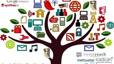 بعد دخول 6 جامعات مصرية..  ما هي  الجامعات الخضراء؟