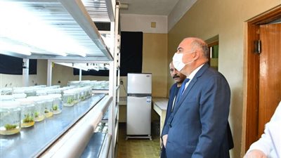 محافظ قنا يشهد بدء الموسم الـ 125 لعصر القصب بمصنع سكر نجع حمادي