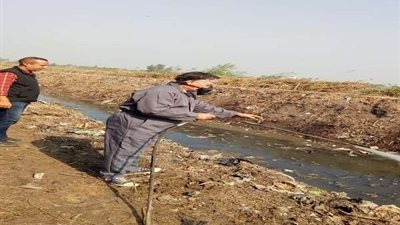 صحة الشرقية: إستمرار النشاط المكثف لمكافحة الذباب وناقلات الأمراض بالمحافظة