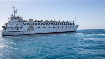 المنطقة الإقتصادية لقناة السويس تستقبل شحنة عجول حية بعدد 2000 رأس