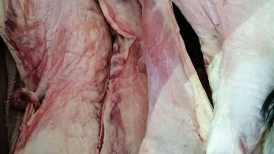 ضبط لحوم مذبوحة خارج السلخانة بمدينة مرسى مطروح