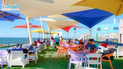 بـ400 جنيه فقط اذهب إلى الواحات البحرية.. اعرف تفاصيل رحلات 